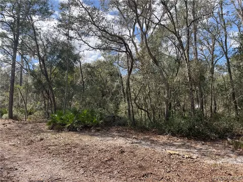 3602 S Chicory Ter, Inverness, FL 34450
