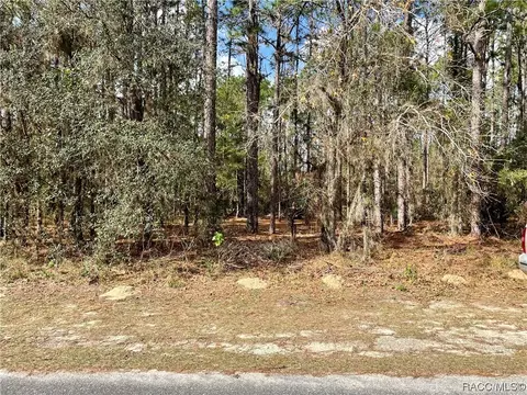 7750 N Paris Dr, Citrus Springs, FL 34434