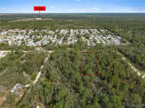 6720 W Merrivale Ln, Homosassa, FL 34446