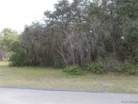 241 N Highview Ave, Hernando, FL 34442