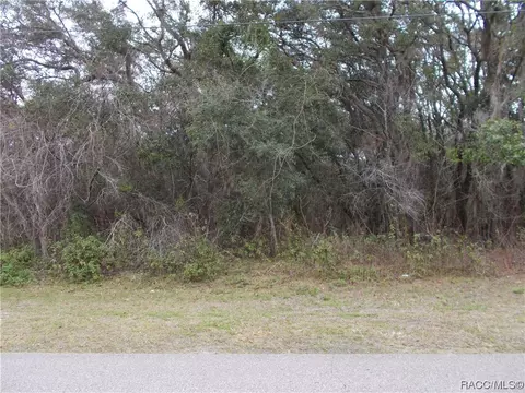241 N Highview Ave, Hernando, FL 34442 photo 2
