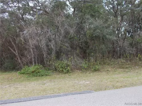 241 N Highview Ave, Hernando, FL 34442 photo 3