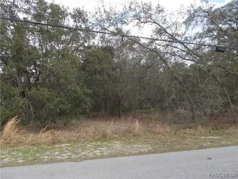 979 W Pearson St, Hernando, FL 34442