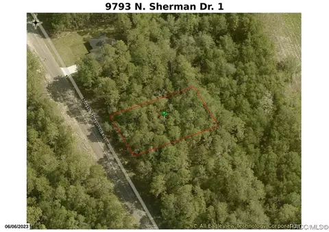 9793 N Sherman Dr, Citrus Springs, FL 34434