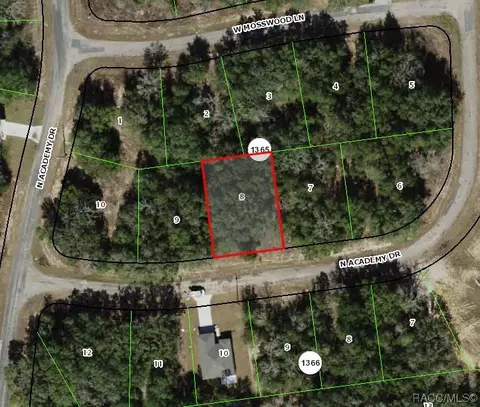 11163 N Academy Dr, Citrus Springs, FL 34434