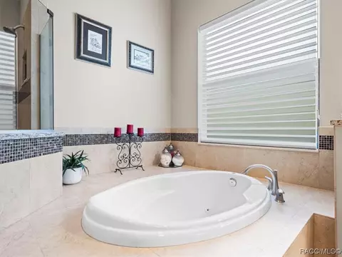 Bath - 1071 W Pointer Loop, Hernando, FL 34442 photo 3 of 7