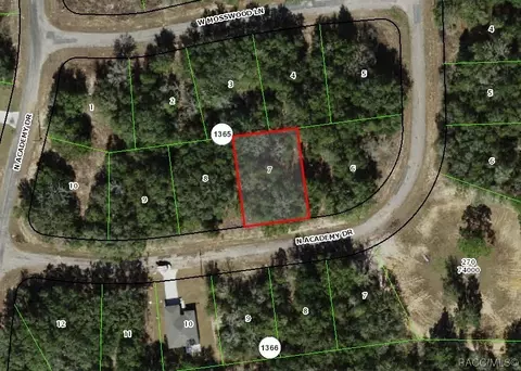 11151 N Academy Dr, Citrus Springs, FL 34434