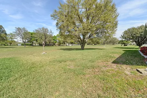 Exterior - 515 E Falconry Ct, Hernando, FL 34442 photo 13 of 14
