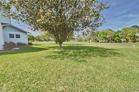Exterior - 515 E Falconry Ct, Hernando, FL 34442 photo 9 of 14