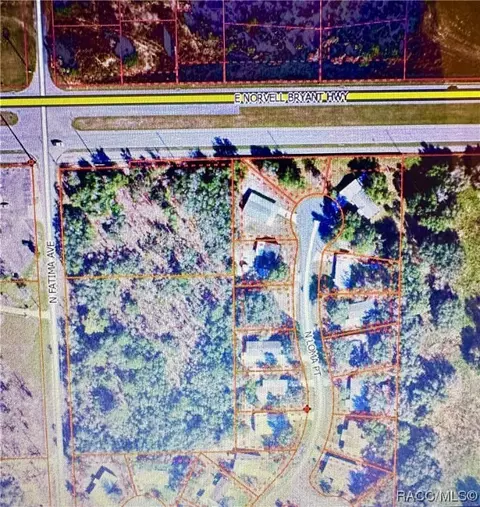 2409 N Fatima Ave, Hernando, FL 34442 photo 3