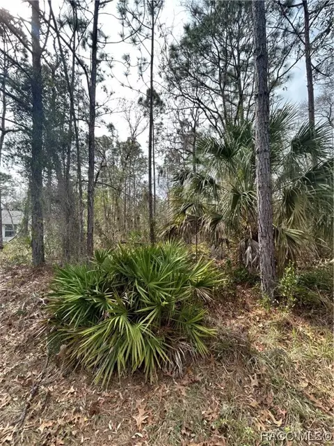 3 Primula Dr, Homosassa, FL 34446