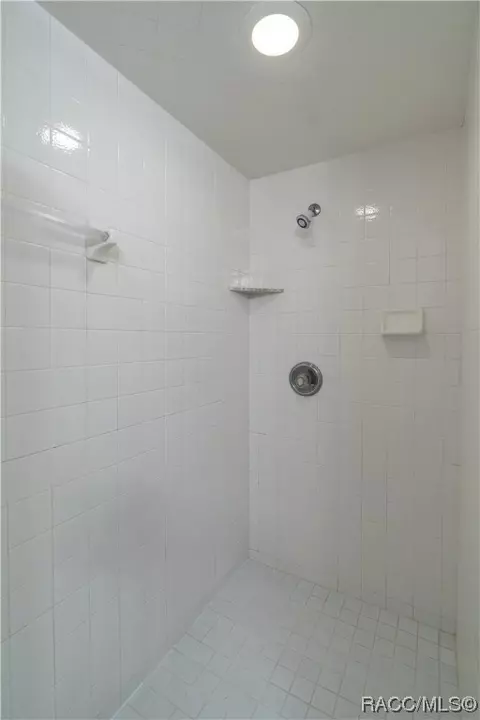 Bath - 867 W Sunbird Path, Hernando, FL 34442 photo 3 of 6