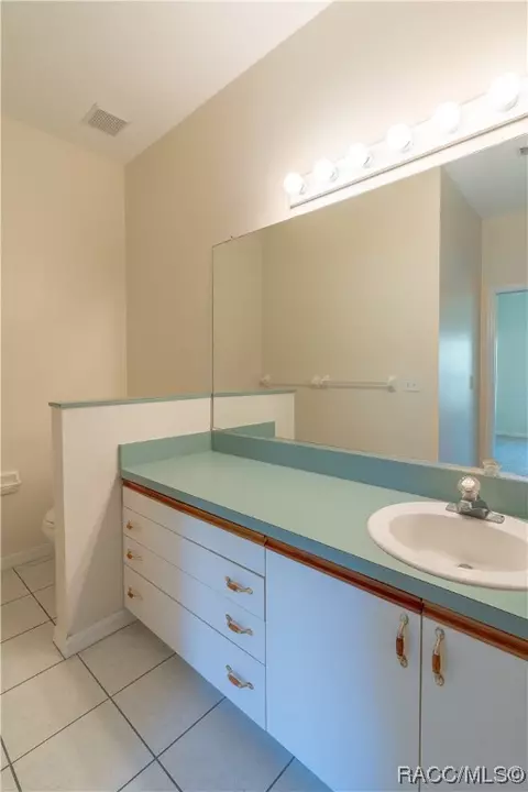 Bath - 867 W Sunbird Path, Hernando, FL 34442 photo 1 of 6