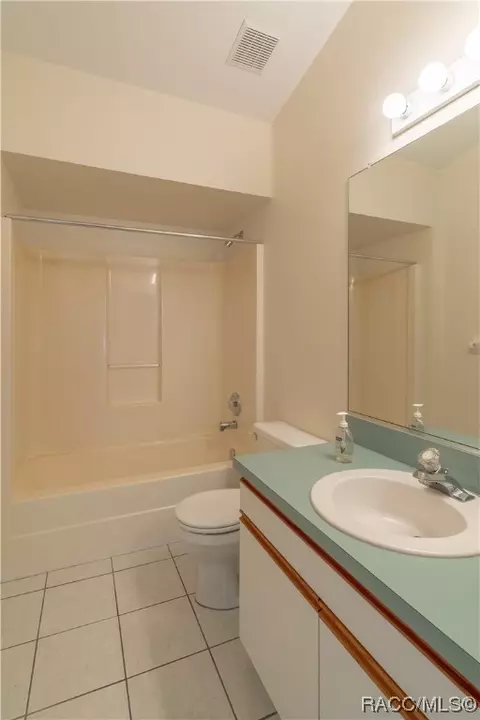 Bath - 867 W Sunbird Path, Hernando, FL 34442 photo 6 of 6