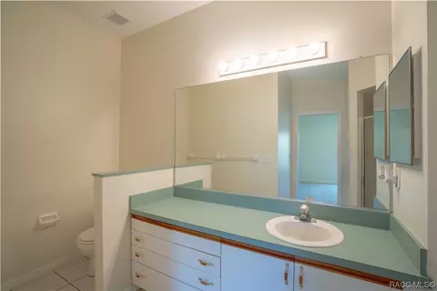 Bath - 867 W Sunbird Path, Hernando, FL 34442 photo 4 of 6