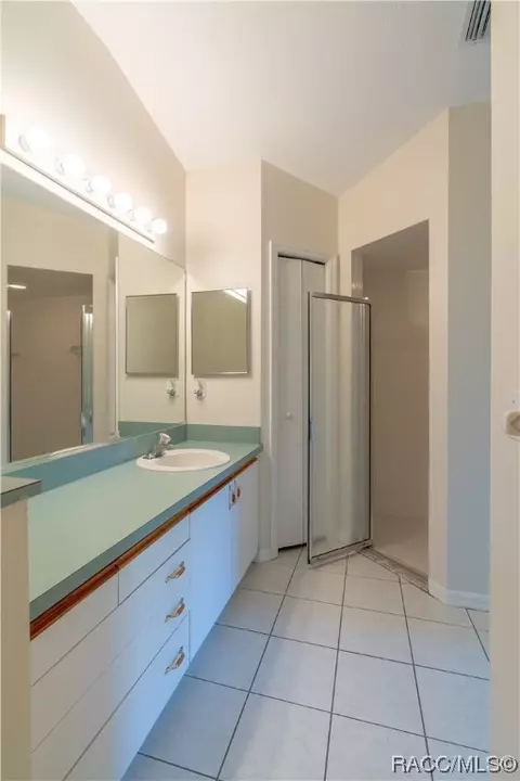 Bath - 867 W Sunbird Path, Hernando, FL 34442 photo 2 of 6