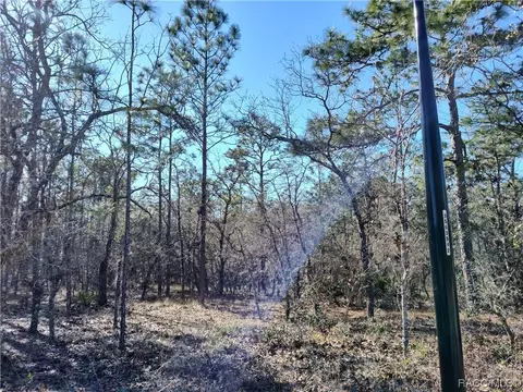 8 Elder Ct E, Homosassa, FL 34446