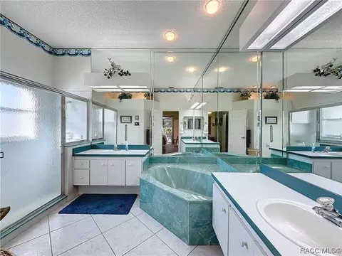 Bath - 420 N Turkey Pine Loop, Lecanto, FL 34461 photo 1 of 8