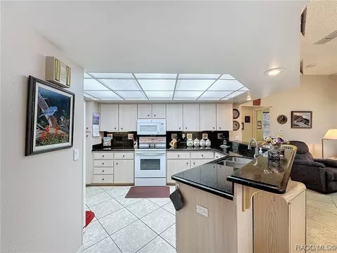 Kitchen - 420 N Turkey Pine Loop, Lecanto, FL 34461 photo 5 of 7