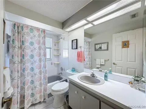 Bath - 420 N Turkey Pine Loop, Lecanto, FL 34461 photo 4 of 8