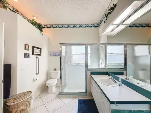 Bath - 420 N Turkey Pine Loop, Lecanto, FL 34461 photo 3 of 8