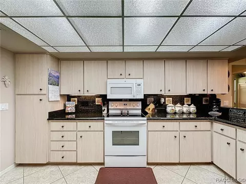 Kitchen - 420 N Turkey Pine Loop, Lecanto, FL 34461 photo 3 of 7