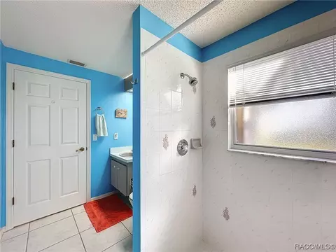 Bath - 420 N Turkey Pine Loop, Lecanto, FL 34461 photo 8 of 8