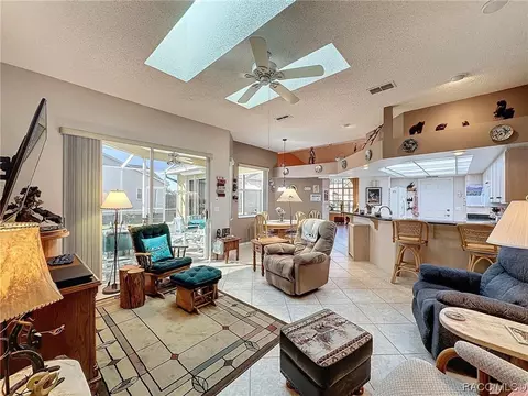 Living - 420 N Turkey Pine Loop, Lecanto, FL 34461 photo 6 of 7