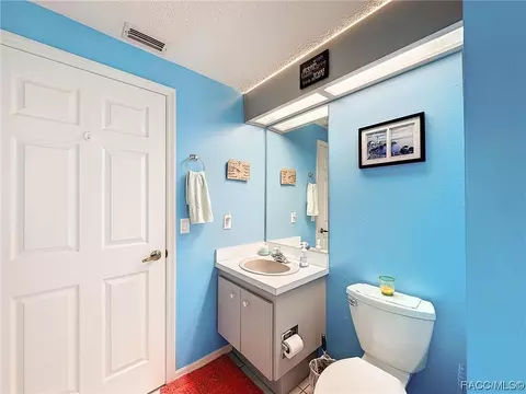 Bath - 420 N Turkey Pine Loop, Lecanto, FL 34461 photo 7 of 8
