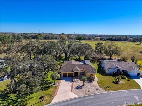 View/Area - 420 N Turkey Pine Loop, Lecanto, FL 34461 photo 1 of 2