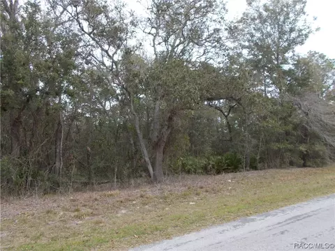 1802 E Lot 19 E Ridgefield Dr, Hernando, FL 34442