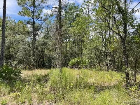 9356 N Spaniel Ter, Dunnellon, FL 34433