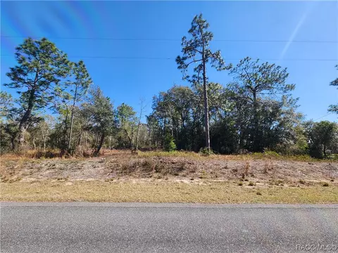Tbd SW Ivy Place, Other, FL 34431