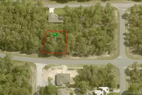 1985 W G Martinelli Blvd, Citrus Springs, FL 34434