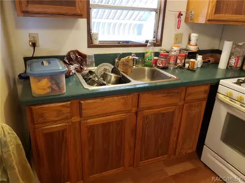 2210 E Maryann St E, Hernando, FL 34442 photo 10
