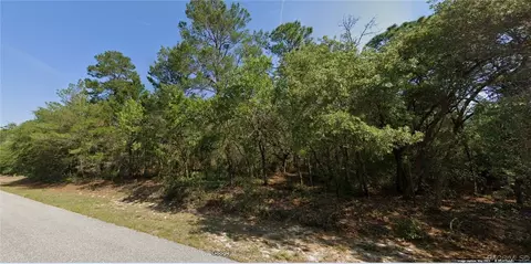 3941 W Fountain Ln, Citrus Springs, FL 34433