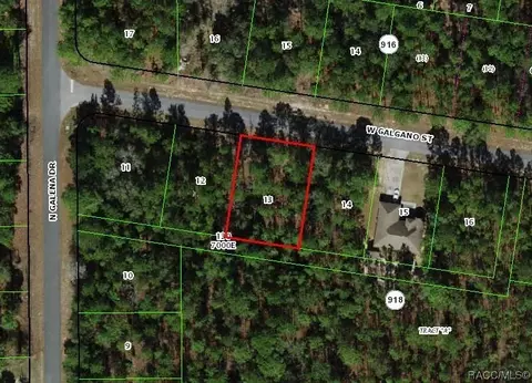 1272 W Galgano St, Citrus Springs, FL 34433