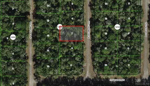 9334 N Sagamore Ter, Citrus Springs, FL 34434