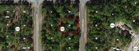 6548 N Shafton Ter, Citrus Springs, FL 34433