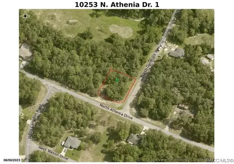 10253 N Athenia Dr, Citrus Springs, FL 34434
