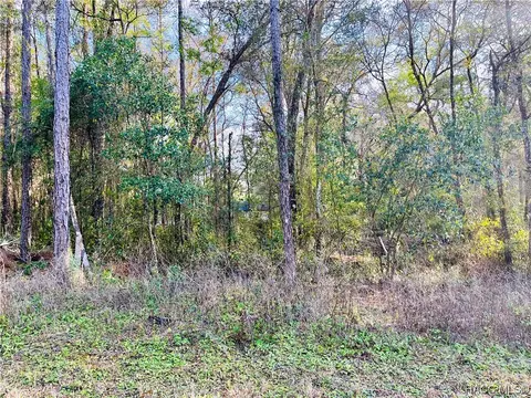 6262 E Holly St, Inverness, FL 34452