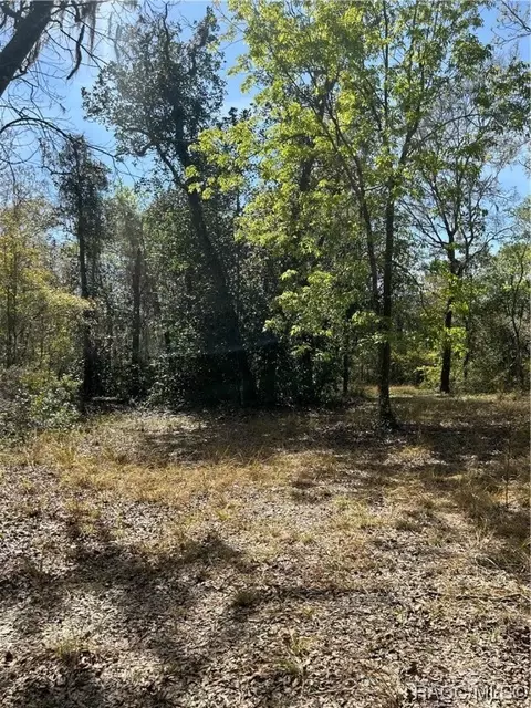 2379 S Barton Ave, Inverness, FL 34450