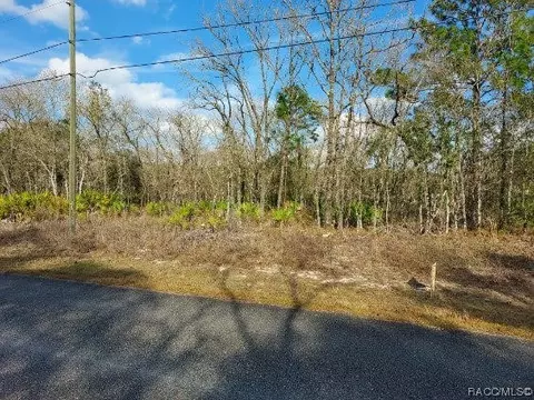 6285 N Walter Ter, Citrus Springs, FL 34434