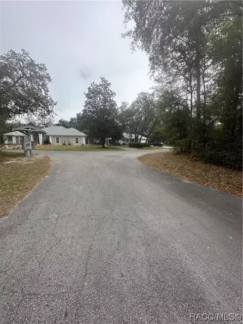6 Blue Beech Ct, Homosassa, FL 34446
