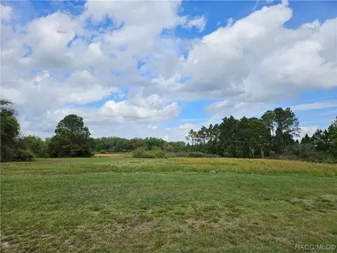 461 Long And Winding Rd, Groveland, FL 34737