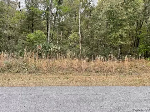 Lot 17 SW 59th Lane, Dunnellon, FL 34431