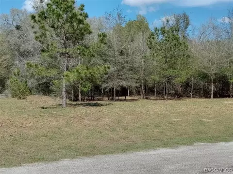 941 E Dellbrook Ln, Citrus Springs, FL 34434