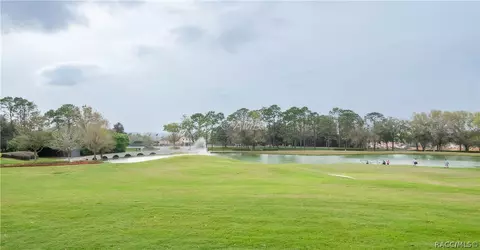 View/Area - 2329 N Peakview Loop, Hernando, FL 34442 photo 1 of 2