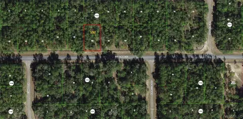 597 E Kingsdale St, Citrus Springs, FL 34434
