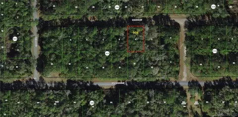 908 E Jenson St, Citrus Springs, FL 34434